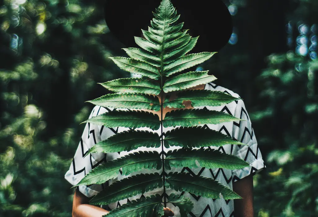 tierra