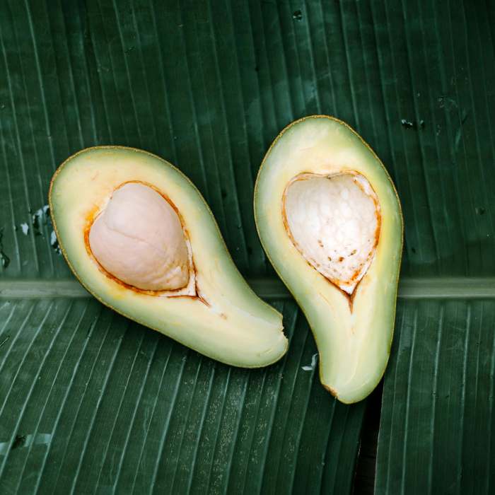 avocados-oceana